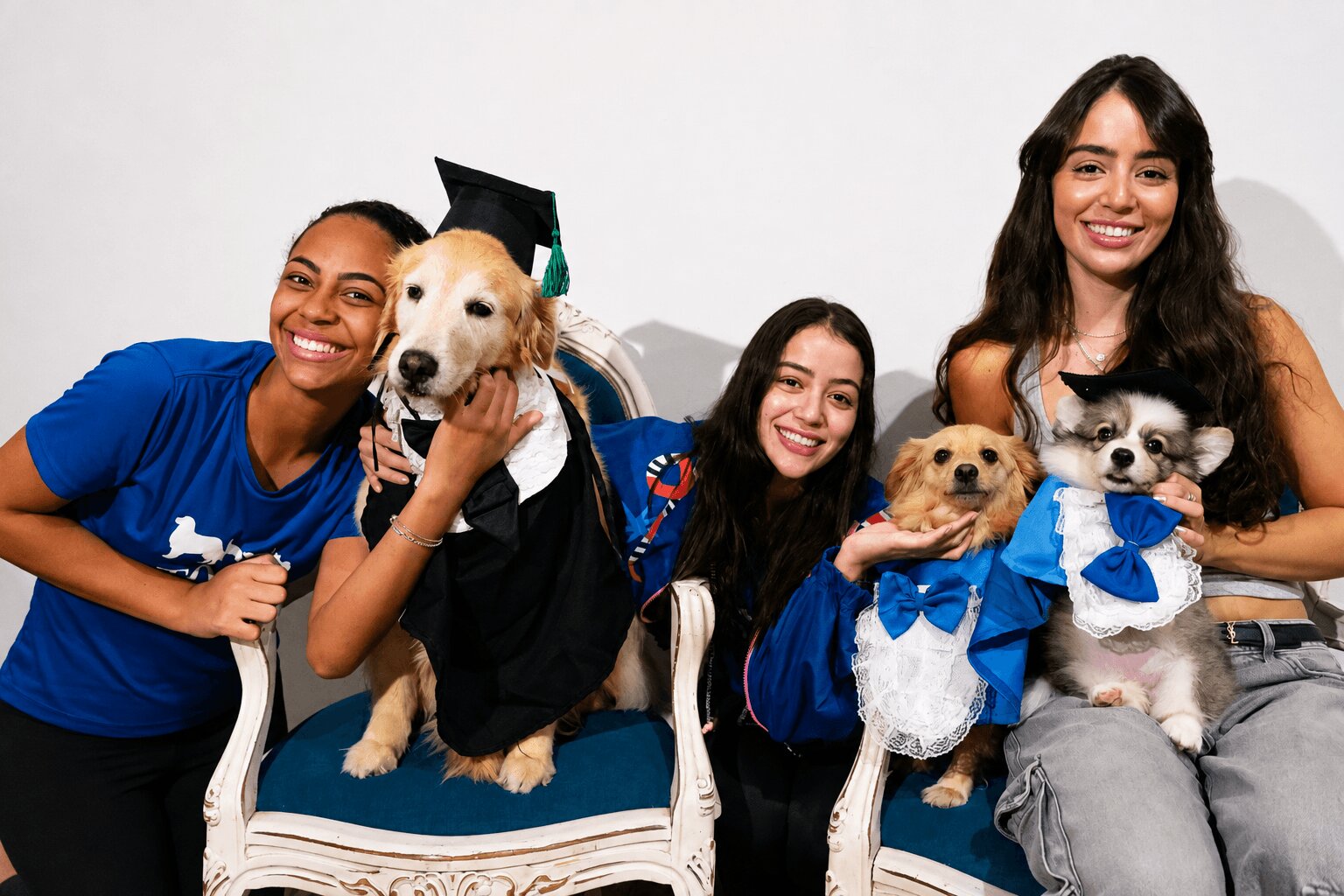 Equipe da TOCA com cães vestidos de formandos na creche em Goiânia