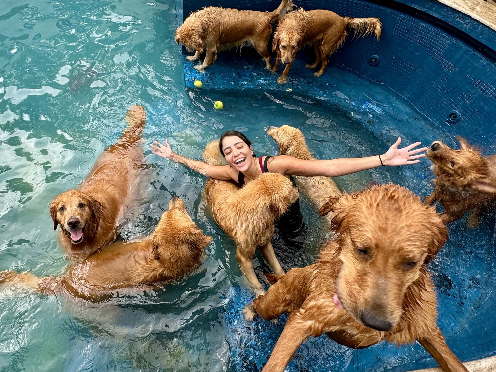 Cães brincando juntos na área externa da creche da TOCA com supervisão da equipe